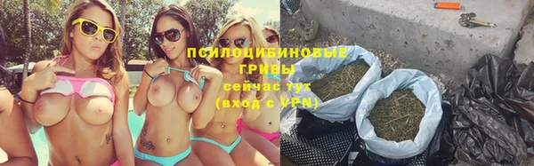 шишки Снежногорск